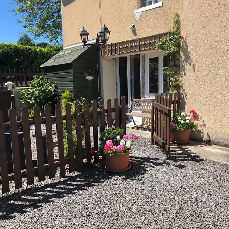 Le Grand Camelia Saint-Martin-d'Aubigny