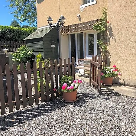 Le Grand Camelia Bed & Breakfast 3*