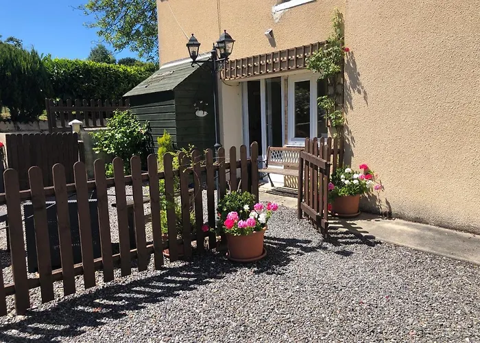 Le Grand Camelia Saint-Martin-d'Aubigny