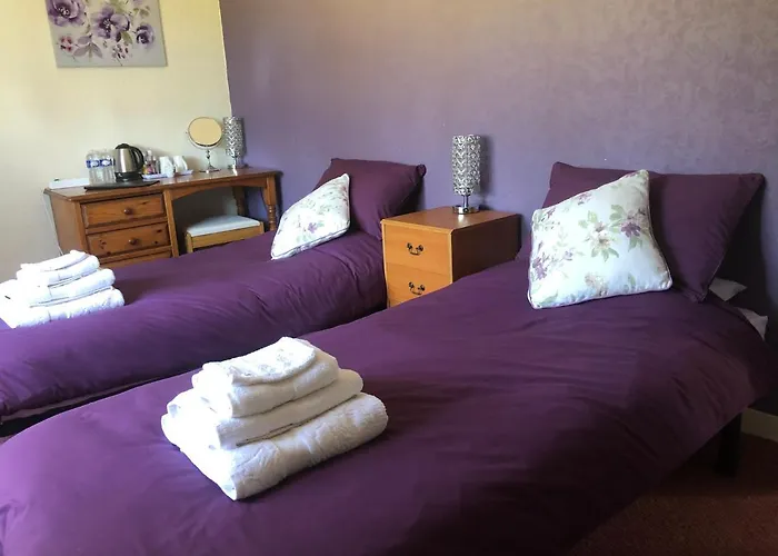 Le Grand Camelia Oda ve Kahvaltı